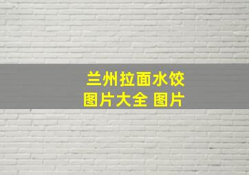 兰州拉面水饺图片大全 图片